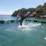 くじら浜海水浴場2