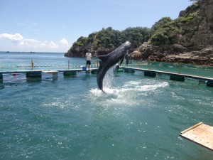 くじら浜海水浴場2