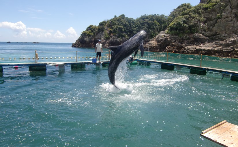 くじら浜海水浴場2