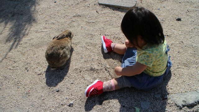 うさぎとのふれあい-1