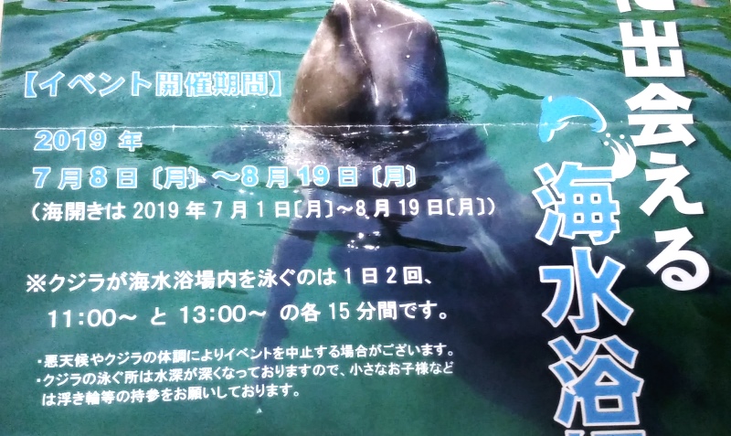 くじら浜海水浴場2019年チラシアップ