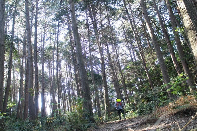 京都トレイルランニング東山